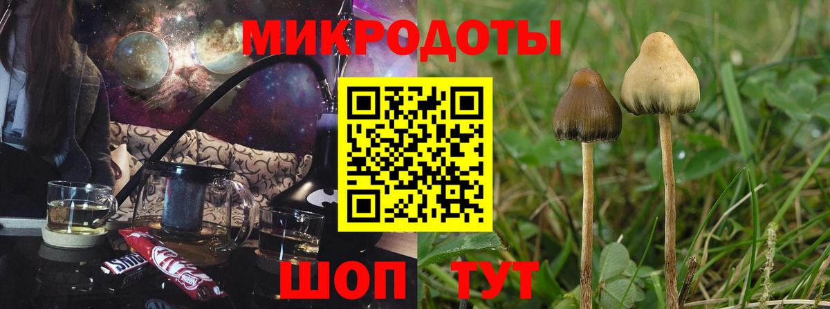 Псилоцибиновые грибы GOLDEN TEACHER  Вход с VPN  Похвистнево 